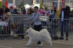 RCACIB Femelle Limoges 2016